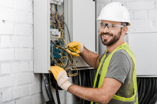 Best Ceiling Fan Installation Electrician  in Alderson, WV