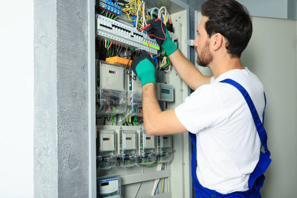 Best Home Electrical Repair  in Alderson, WV